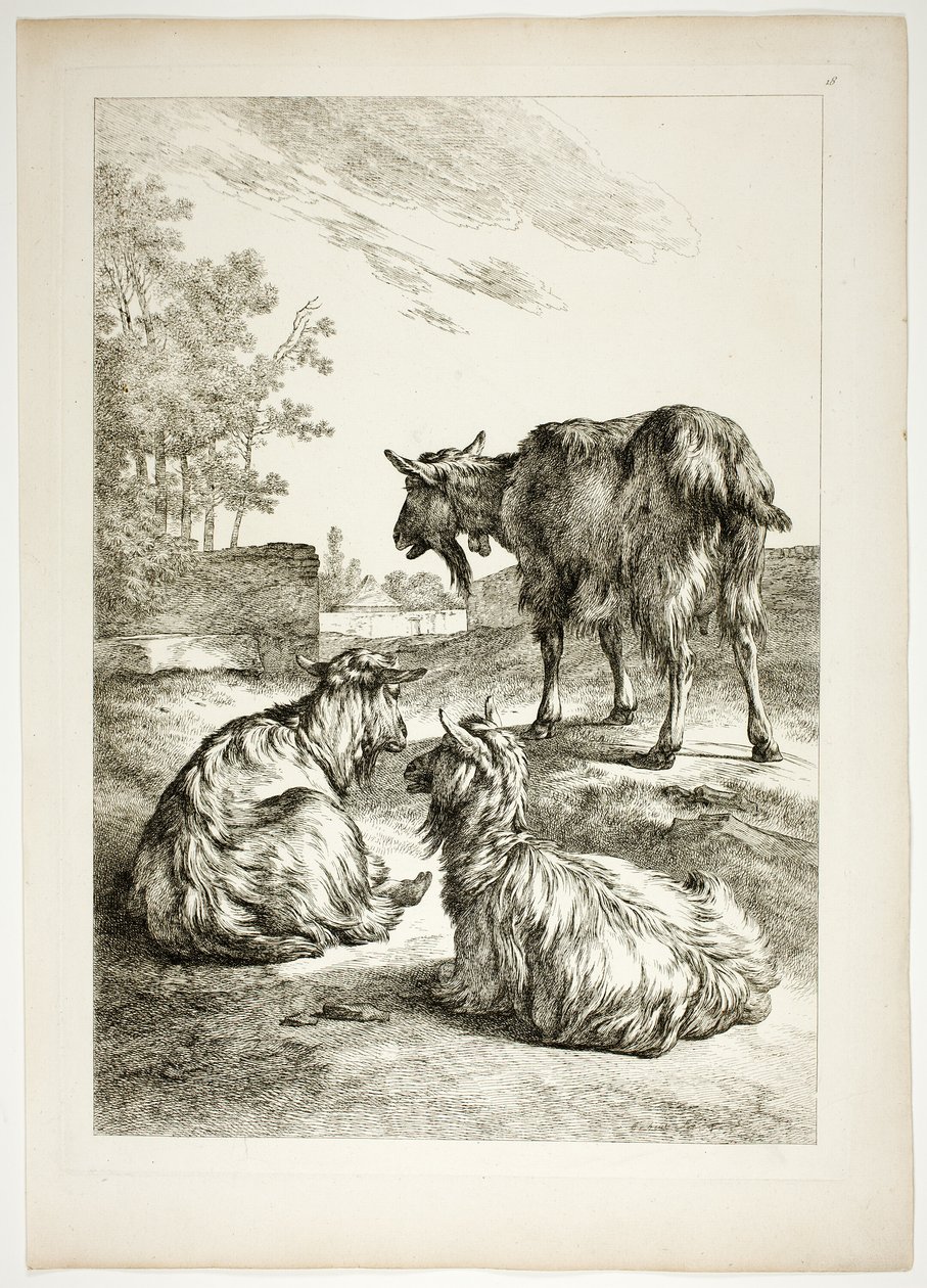 Levy 18/38 teoksesta Oeuvres de J. B. Huet tekijältä Jean Baptiste Huet