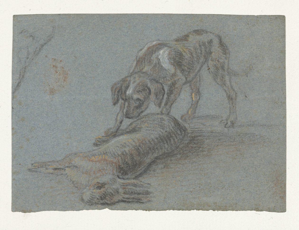 Koira ammuttu jänis tekijältä Jean Baptiste Oudry (possibly)