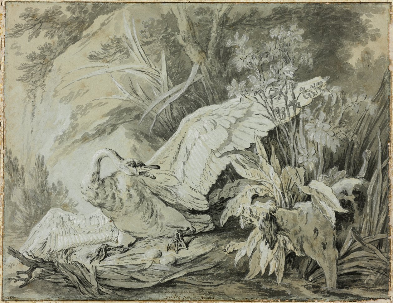 Koira hyökkäsi villijoutsenen kimppuun tekijältä Jean Baptiste Oudry