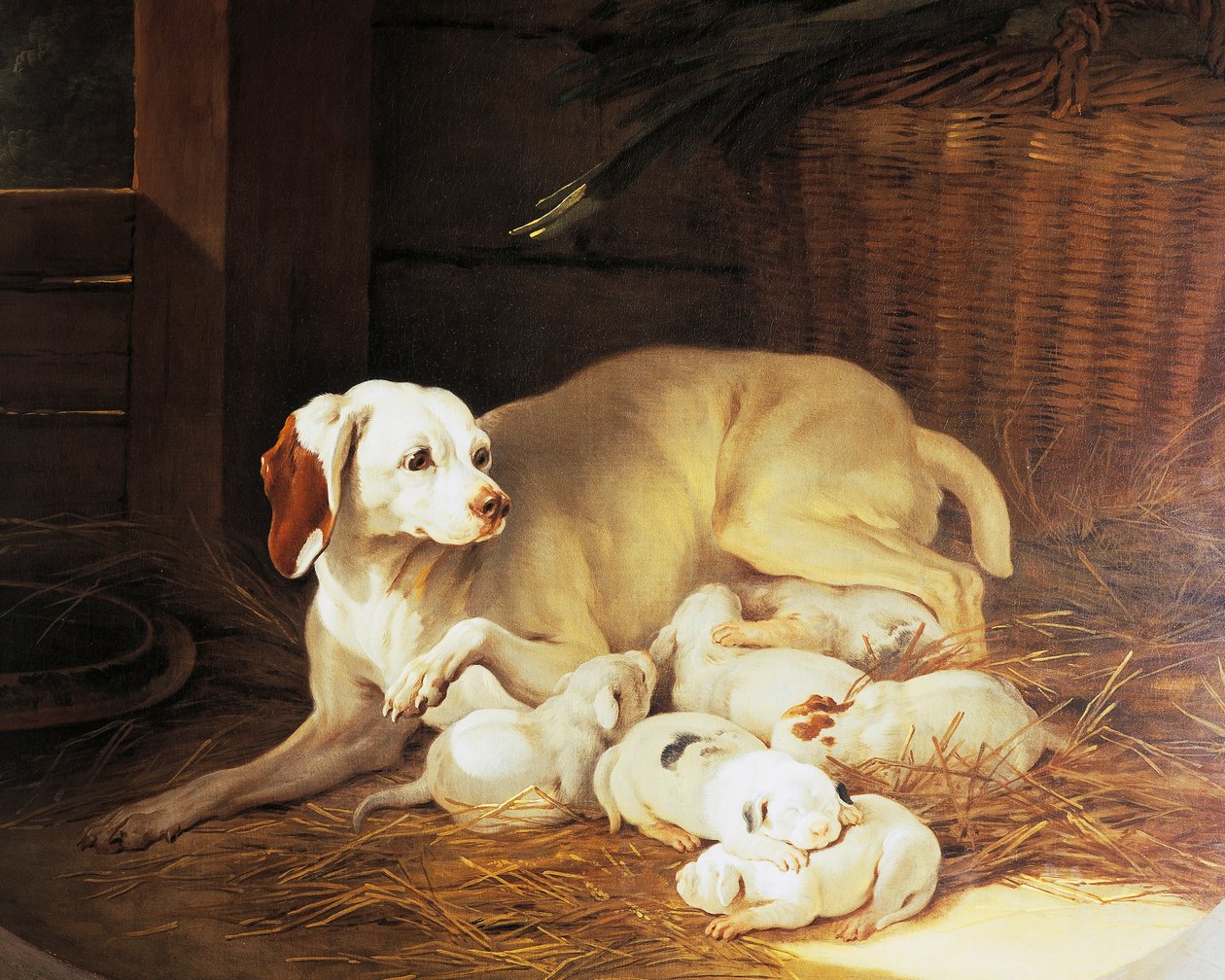 Imettävät nartut, yksityiskohta Lise et ses petits -julkaisusta, kirjoittanut Jean-Baptiste Oudry (1686-1755), Ranska tekijältä Jean Baptiste Oudry