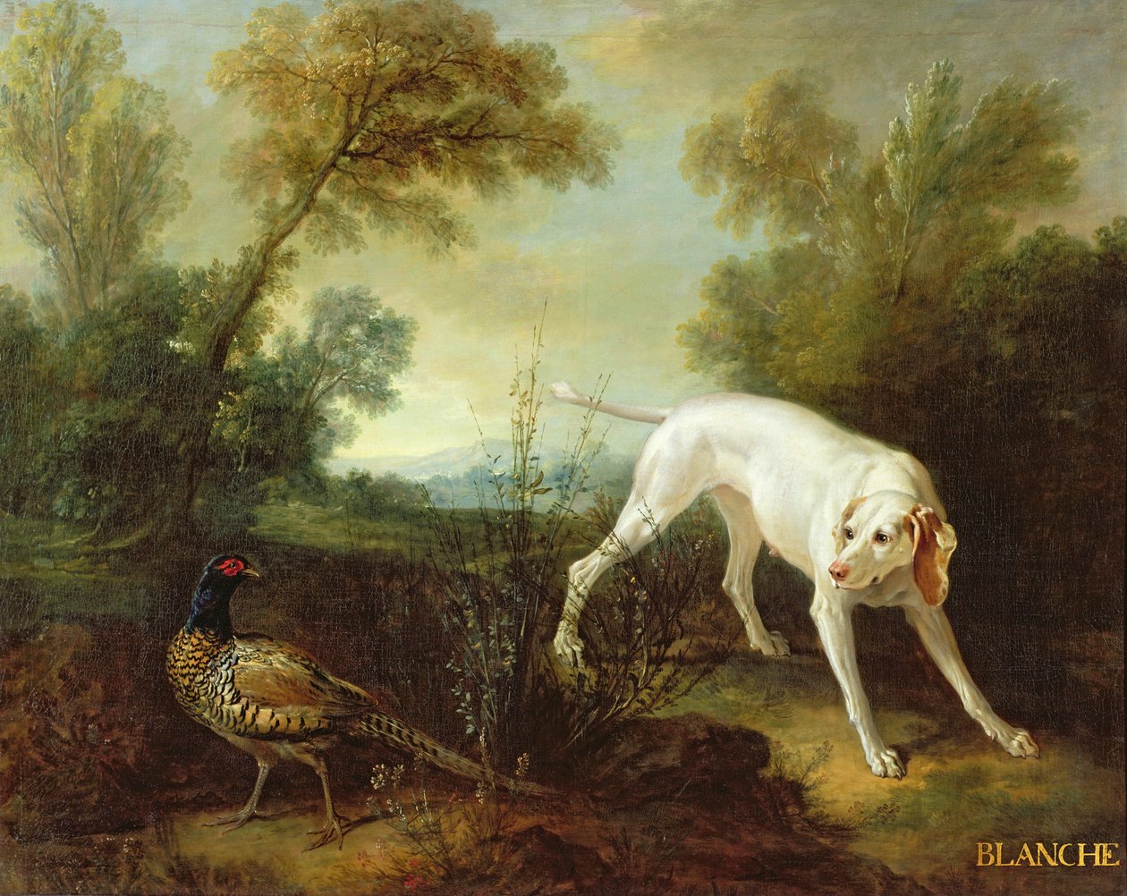 Blanche, kuninkaallisen metsästyslauman narttu tekijältä Jean Baptiste Oudry