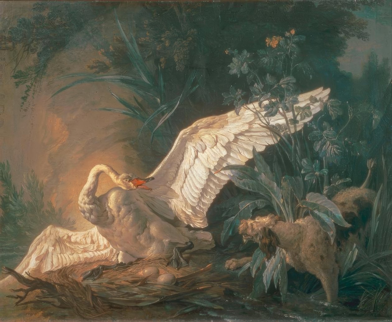 Barbet-koira hyökkäämässä joutsenen kimppuun pesässään tekijältä Jean Baptiste Oudry