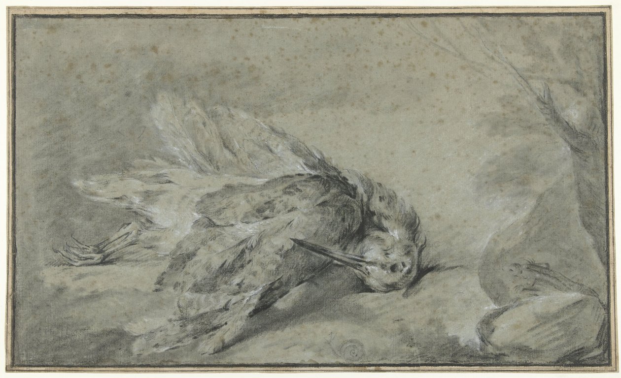 Kuollut metsäkurkko (Scolopax rusticola) tekijältä Jean Baptiste Oudry