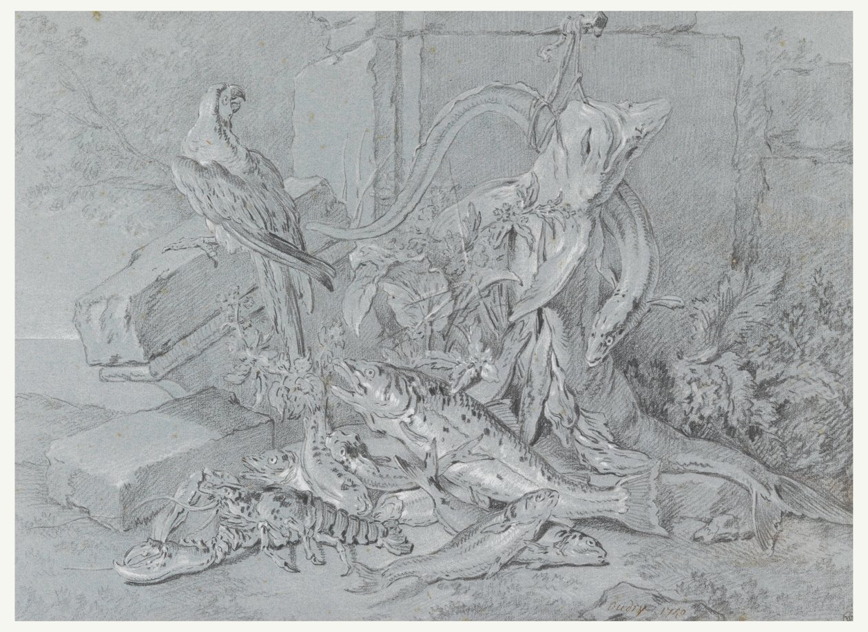Piirros, asetelma, jossa on kala ja papukaija, 1740 tekijältä Jean Baptiste Oudry