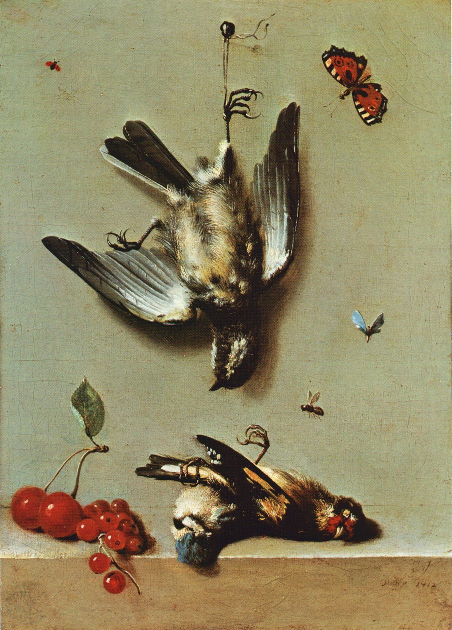 Luonto morte avec trois oiseux morts, des groseilles, des cerises ja des hyönteiset tekijältä Jean Baptiste Oudry