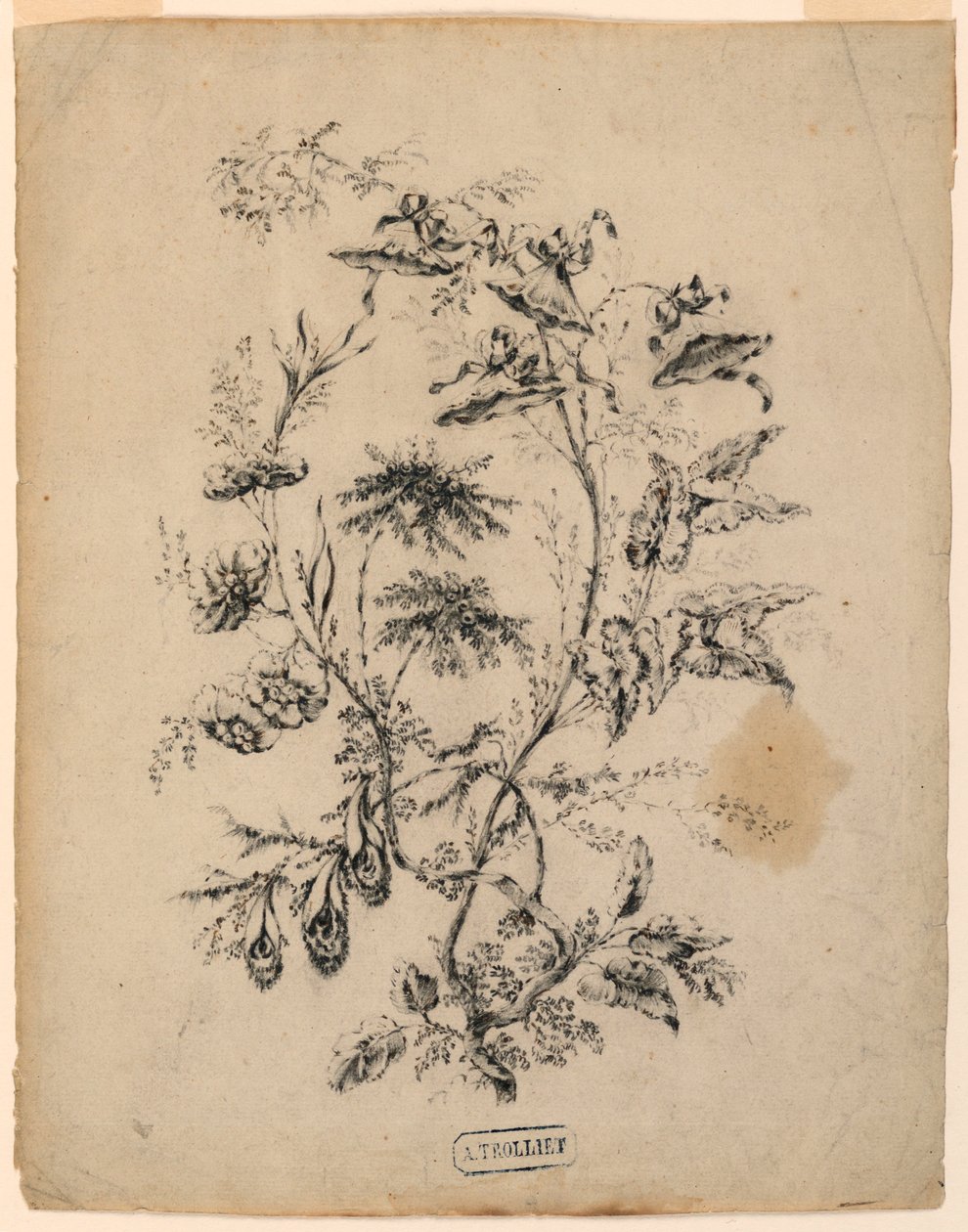 Piirros, Fantastisen puun oksa, 1775-1800 tekijältä Jean Baptiste Pillement