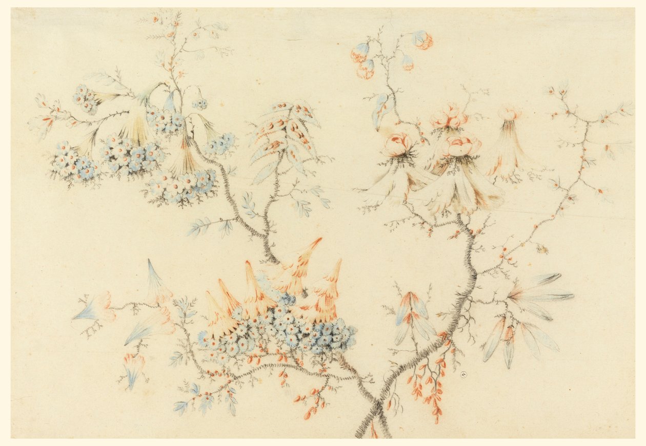 Piirustus, Kukkivat oksat, 1775-1800 tekijältä Jean Baptiste Pillement