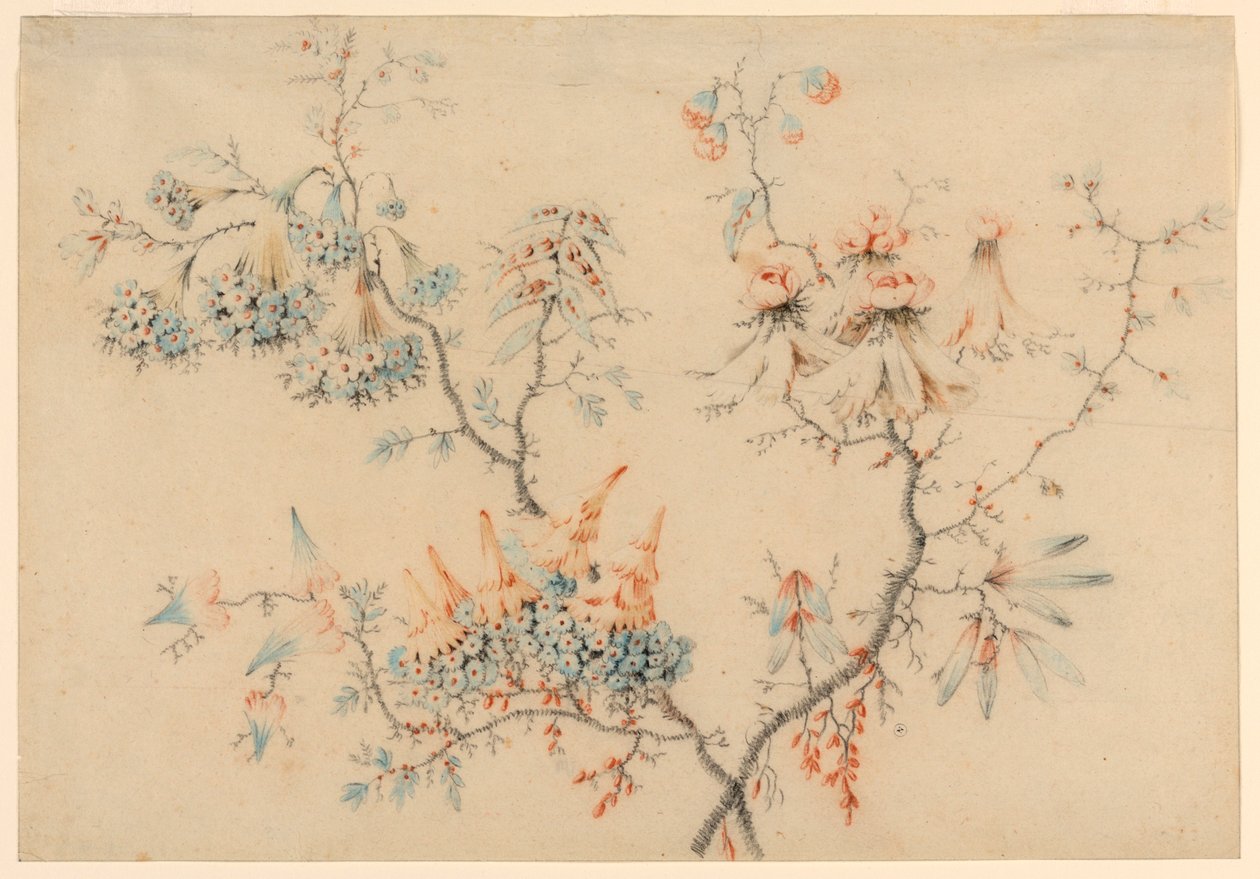 Piirustus, Kukkivat oksat, 1775-1800 tekijältä Jean Baptiste Pillement