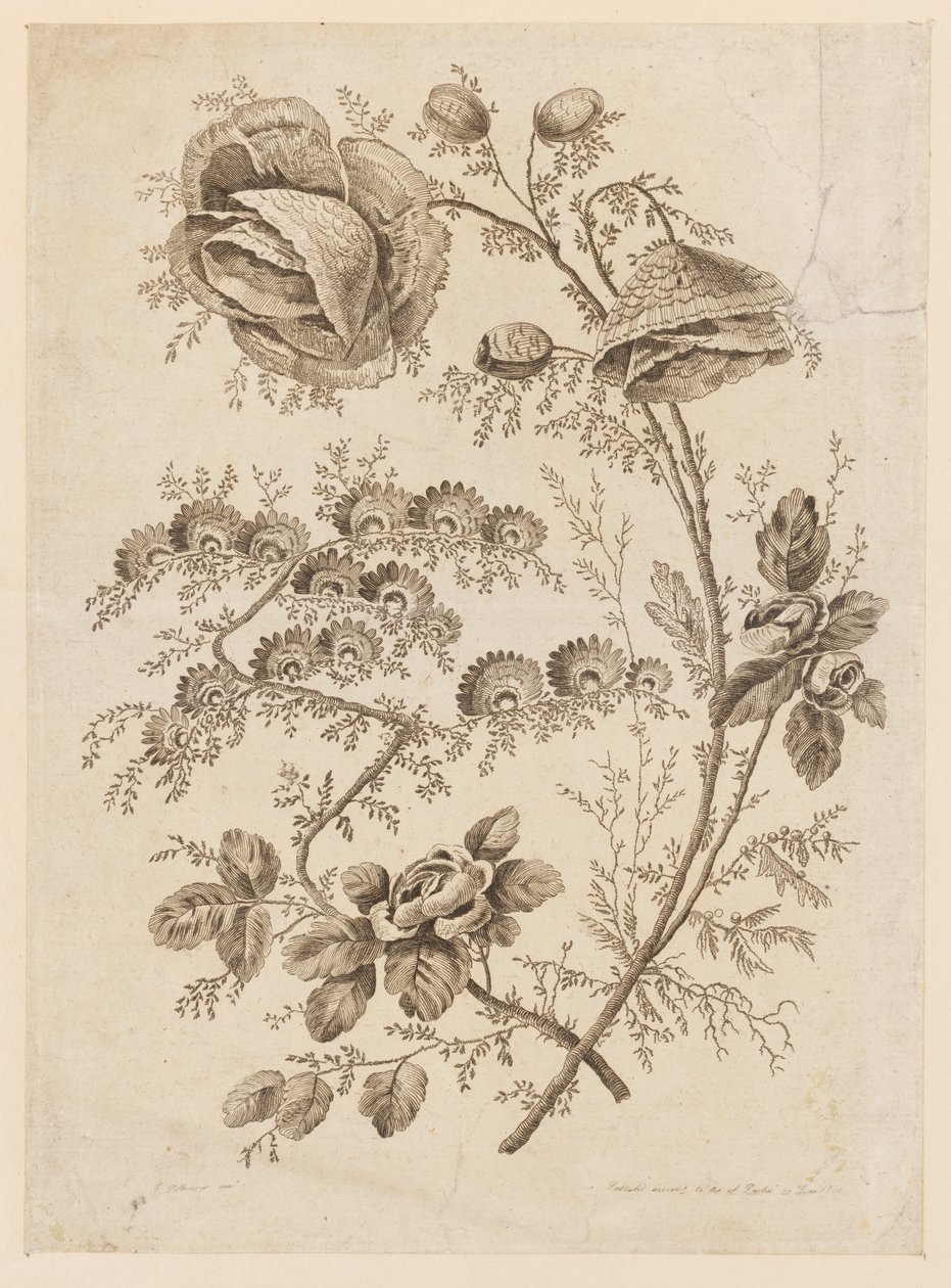 Flower Bough, "Cahier de Fleurs Singuliers" tekijältä Jean Baptiste Pillement