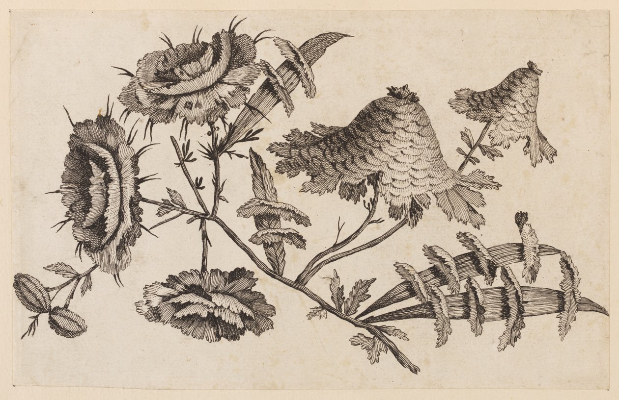 Flower Bough, "Chinese Flower Collection" -kokoelmasta tekijältä Jean Baptiste Pillement