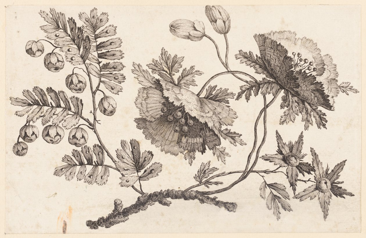 Flower Bough, "Chinese Flower Collection" -kokoelmasta tekijältä Jean Baptiste Pillement