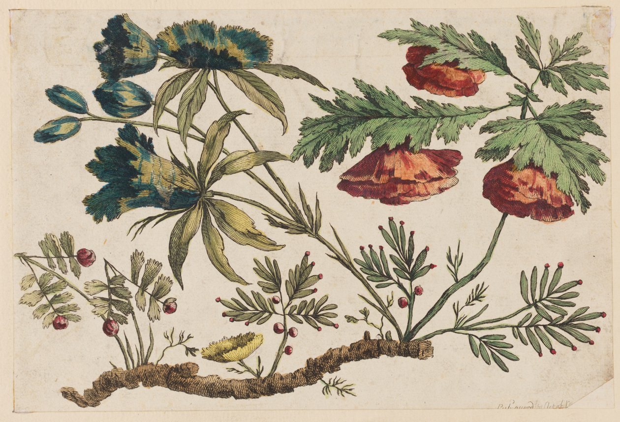 Flower Bough, "Chinese Flower Collection" -kokoelmasta tekijältä Jean Baptiste Pillement