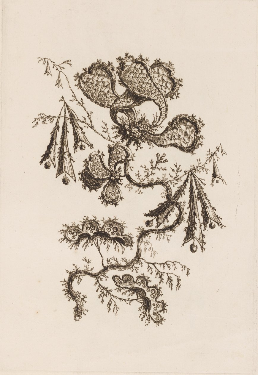 Flower Branch, de "Fleures Persannes"finès tekijältä Jean Baptiste Pillement