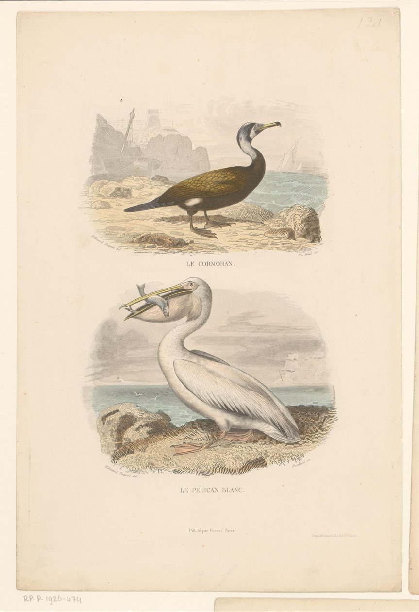 Merimetso ja valkoinen pelikaani Le cormoran (otsikko esineessä) Le Pelican blanc (otsikko esineessä) tekijältä Jean Charles Pardinel