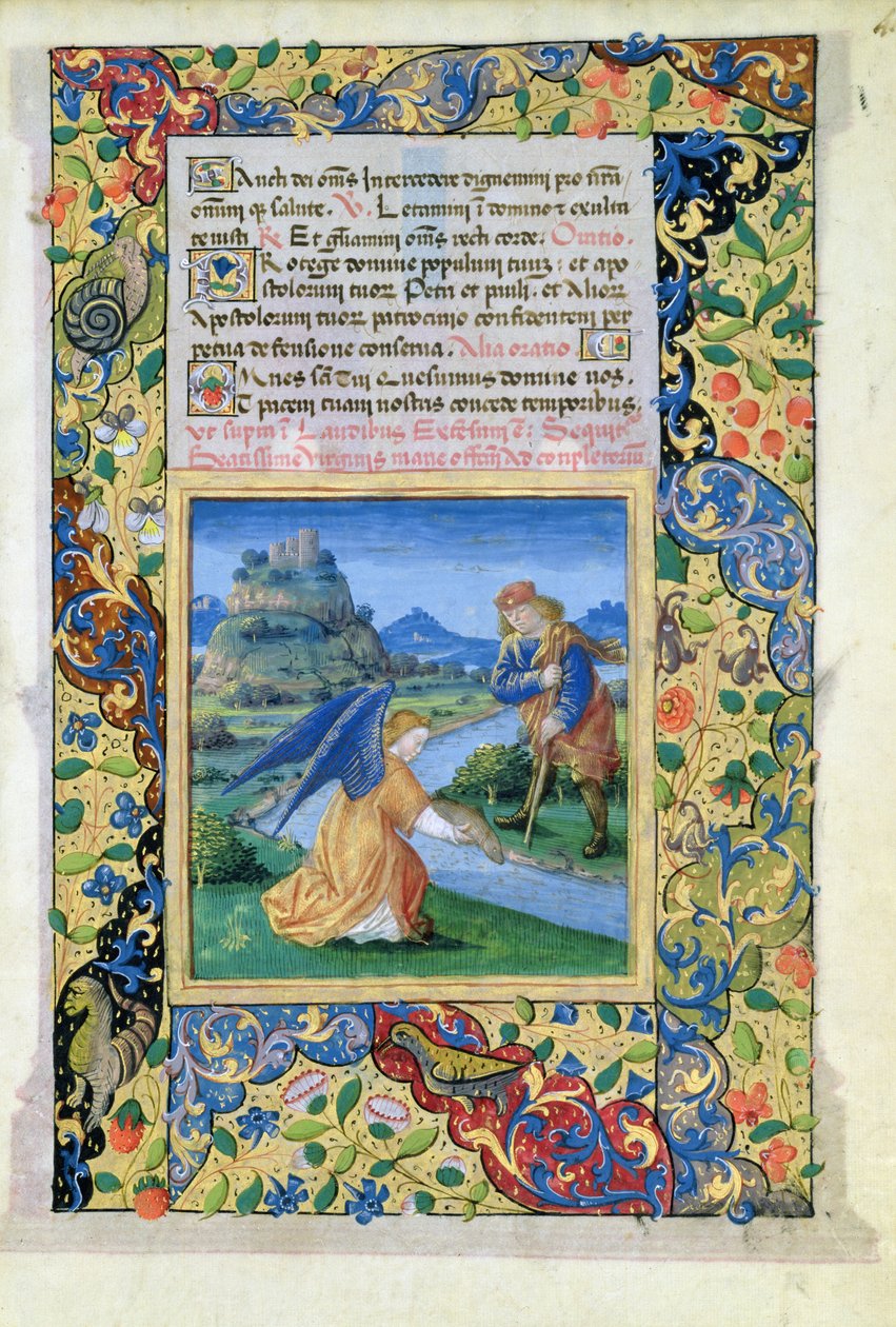 Ms Lat.Q.v.I.126 f.40 Tobias ja enkeli, Louis dOrleansin tuntikirjasta, 1469 tekijältä Jean Colombe
