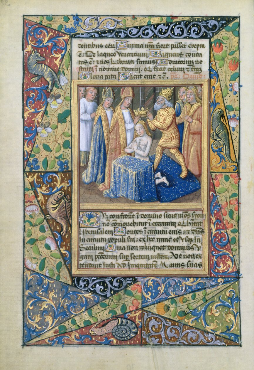 neiti Lat. Q.v.I.126 f.32v David kruunataan, Louis dOrleansin tuntien kirjasta, 1490 tekijältä Jean Colombe