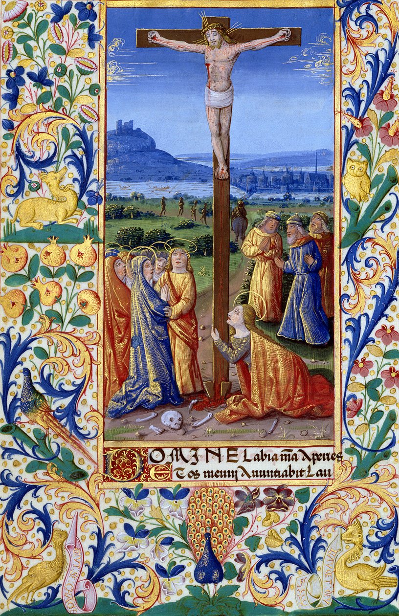 Ms Lat. Q.v.I.126 f.84v Ristiinnaulitseminen, Louis d