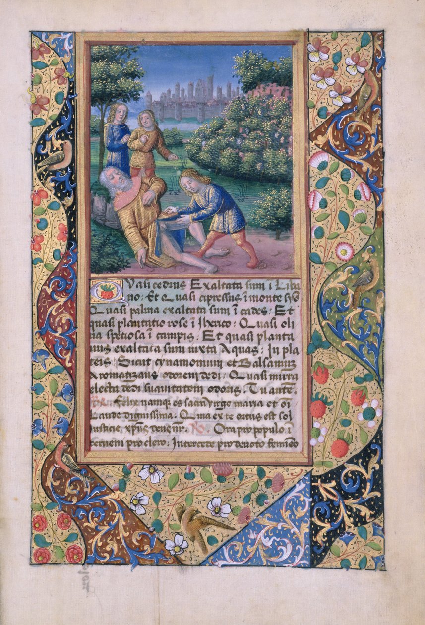 neiti Lat. Q.v.I.126 fol.17 The Drunkenness of Nooan, Louis dOrleansin tuntien kirjasta, 1490 tekijältä Jean Colombe