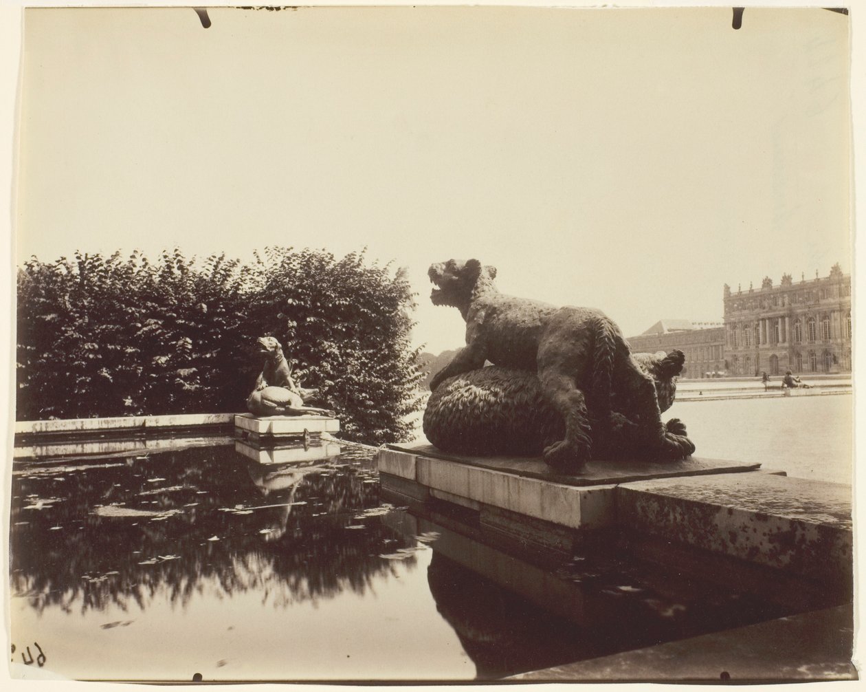 Versailles, Fontaine du Point du Jour, (Tigre Terrassant un Ours by Houzeau) tekijältä Jean Eugène Auguste Atget