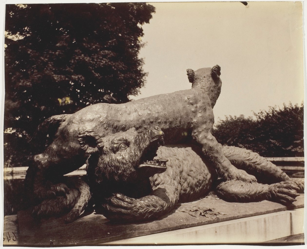 Versailles, Fontaine du Point du Jour, (Tigre Terrassant un Ours by Houzeau) tekijältä Jean Eugène Auguste Atget