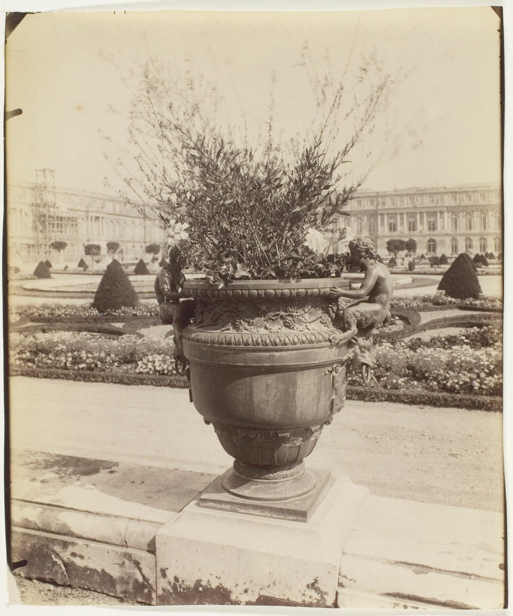 Versailles, Ballinin maljakko tekijältä Jean Eugène Auguste Atget