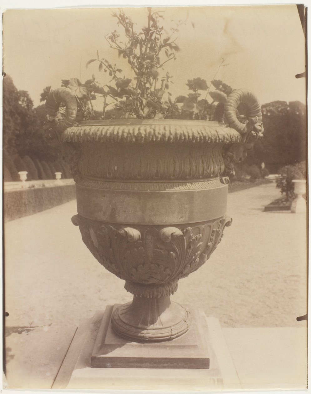 Versailles, Ballinin maljakko tekijältä Jean Eugène Auguste Atget