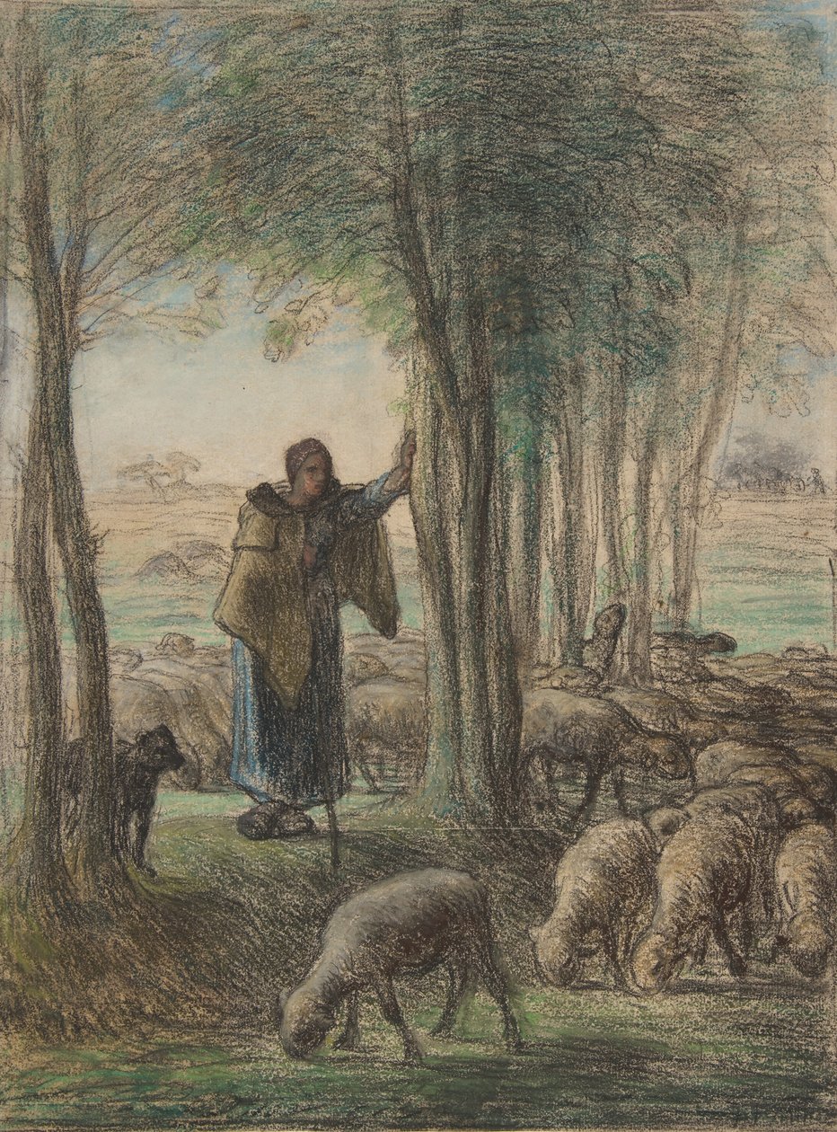 Paimentar ja hänen laumansa puiden varjossa, 1854-55 (conté värikynä ja pastelli taidepaperille) tekijältä Jean Francois Millet