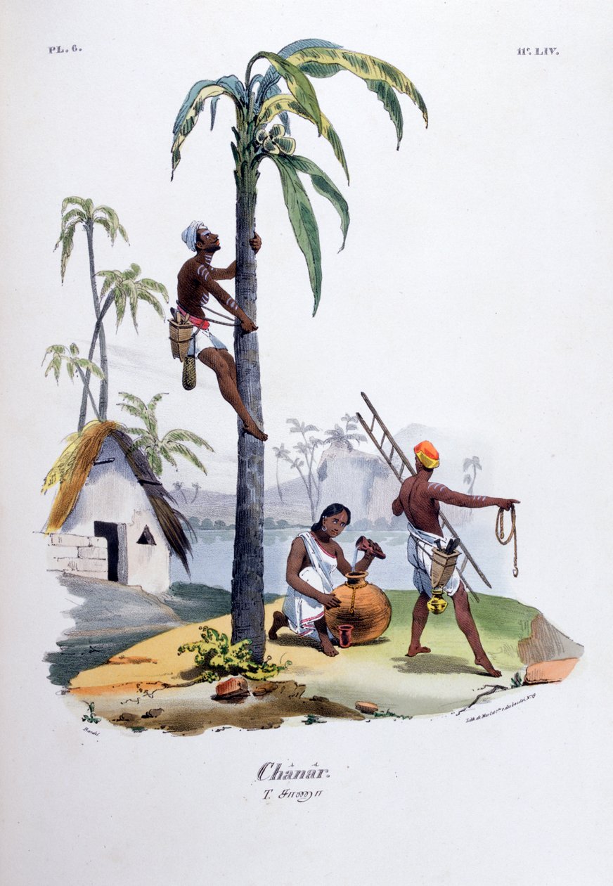 Chanar, 1828 tekijältä Jean Henri Marlet