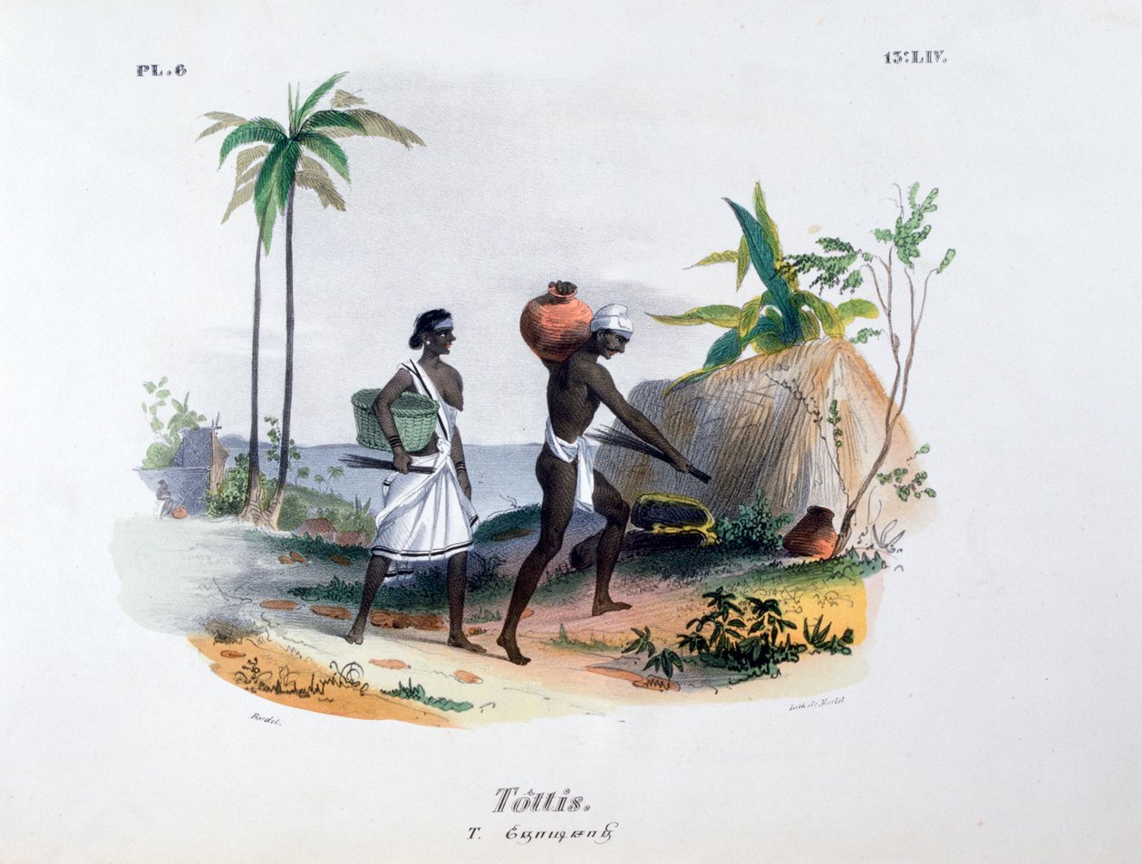 Tottis, 1828 tekijältä Jean Henri Marlet