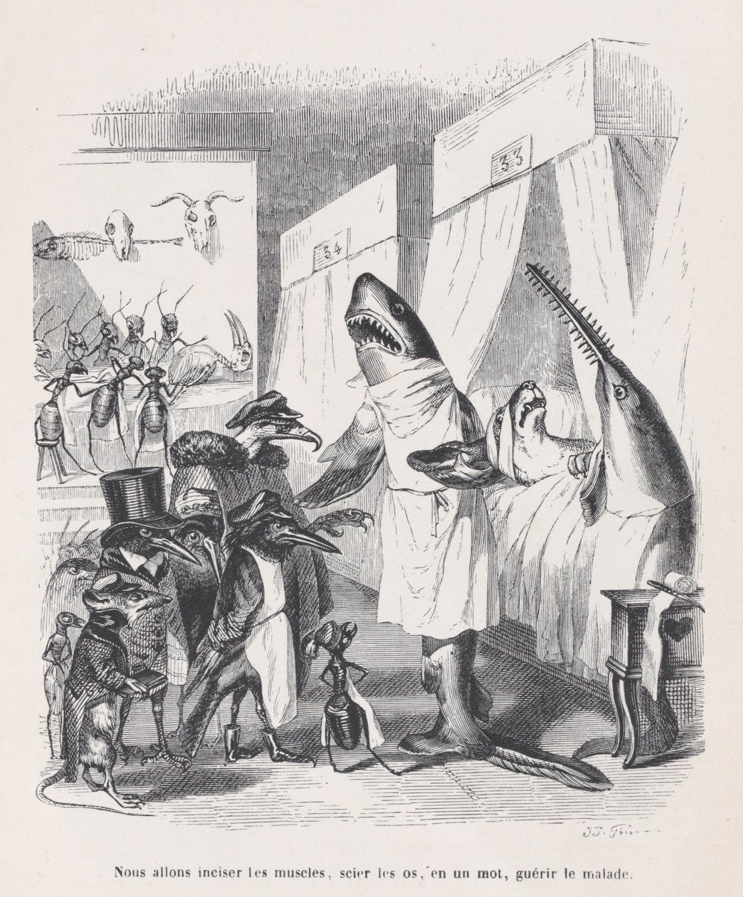 Aiomme viiltää lihaksia, sahaamme luut, sanalla sanoen, parantaa sairaita Sc:stä..., n. 1837-47. tekijältä Jean Ignace Isidore Gérard