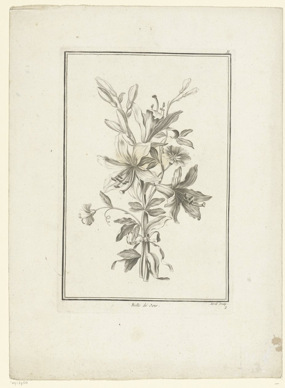 Kimppu liljalla Belle de Jour (otsikko esineessä) IIe Cahier de Bouquets (sarjan nimi) tekijältä Jean Jacques Avril (I)