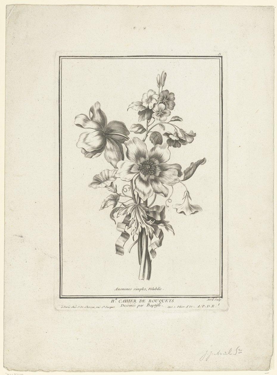 Kimppu anemonea ja sideruohoa Anemones simples, Volubilis (otsikko esineessä) IIe Cahier de Bouquets (sarjan nimi) tekijältä Jean Jacques Avril (I)