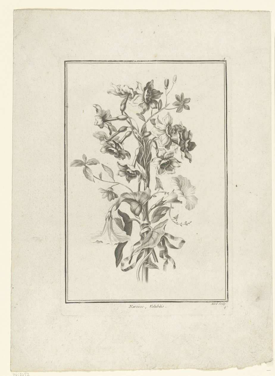 Kimppu narsissia ja sideruohoa Narcissus, Volubilis (otsikko esineessä) IIe Cahier de Bouquets (sarjan nimi) tekijältä Jean Jacques Avril (I)