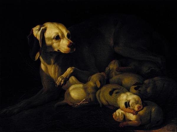 Narttukoira imettää pentujaan, yksityiskohta Jean-Baptiste Oudryn alkuperäiskappaleen mukaan, 1755 tekijältä Jean Jacques Bachelier