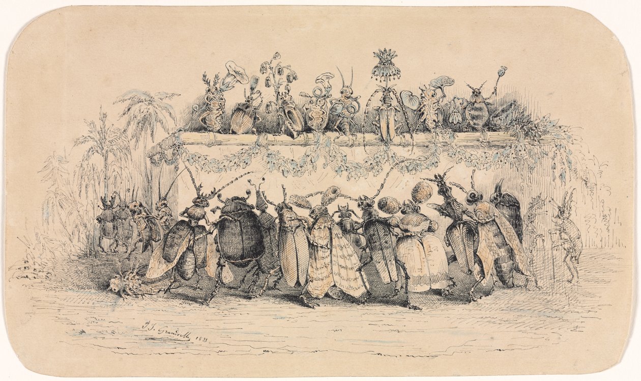 Hyönteispallo tekijältä Jean Jacques Grandville