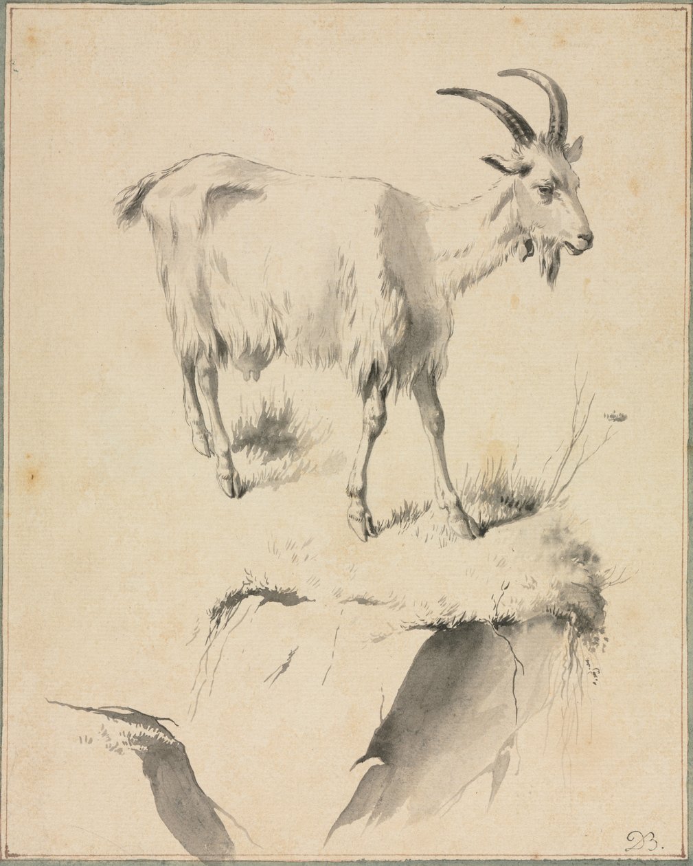 Tutkimus vuohista, 1700-luku. tekijältä Jean Jacques de Boissieu