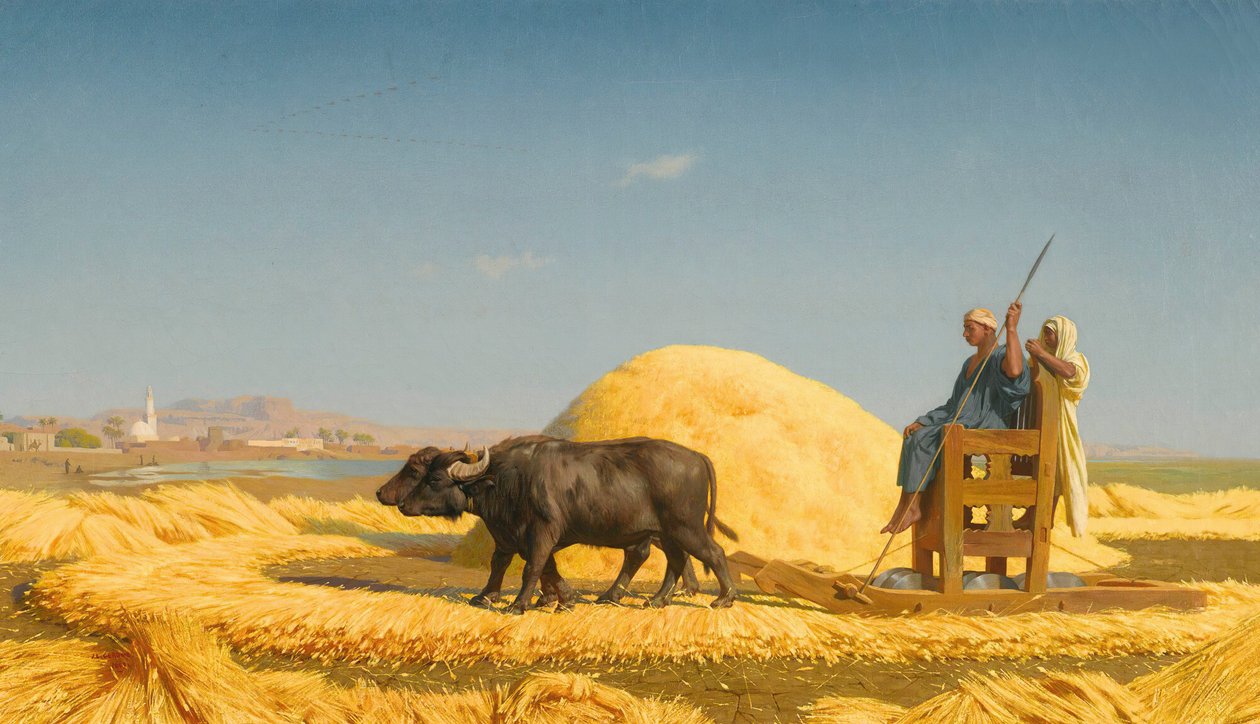 Viljanpuristajat, Egypti tekijältä Jean Leon Gerome