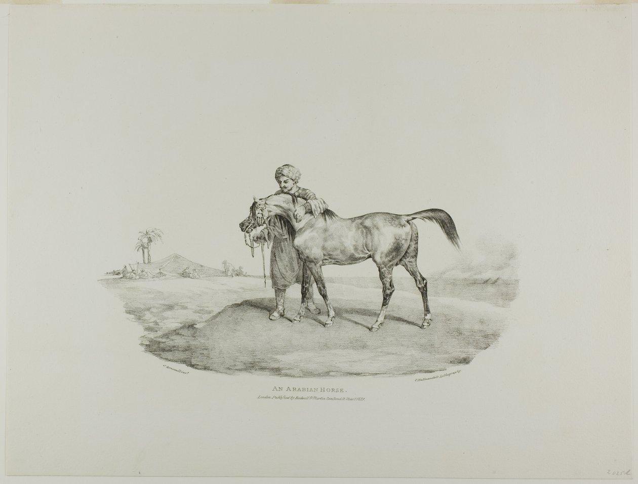 Arabianhevonen, levy 8 eri aiheista, jotka on piirretty elävästä elämästä ja kivestä (The English Suite). tekijältä Jean Louis André Théodore Géricault