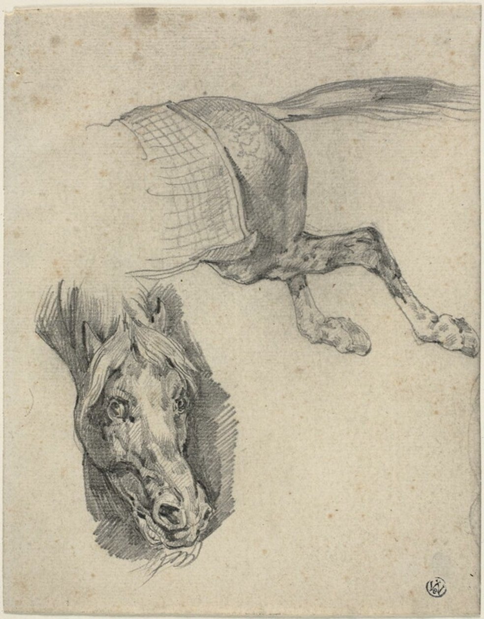 Kilpahevosen pää ja takaneljännekset tekijältä Jean Louis André Théodore Géricault