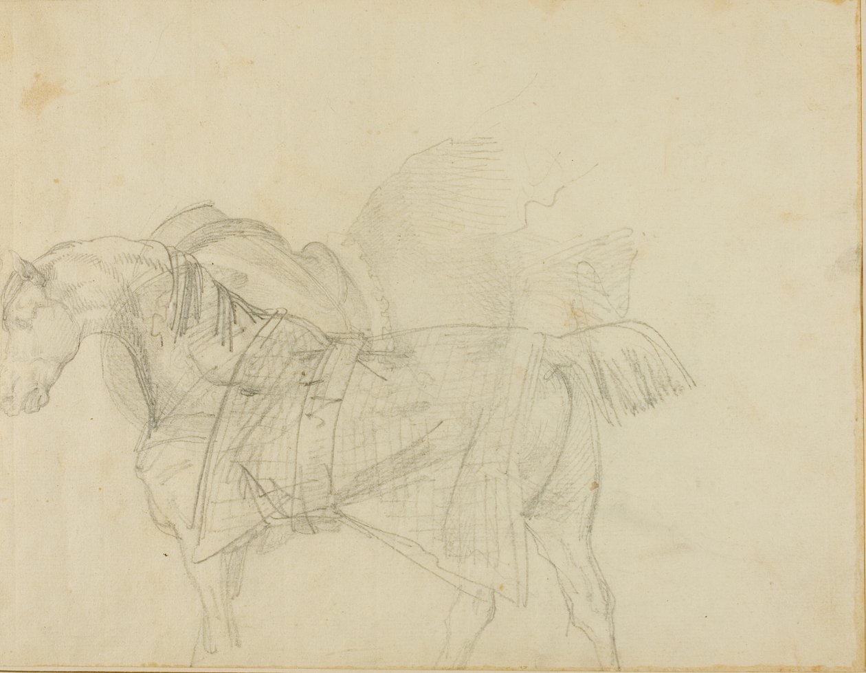 Hevonen, jolla on huopa tekijältä Jean Louis André Théodore Géricault