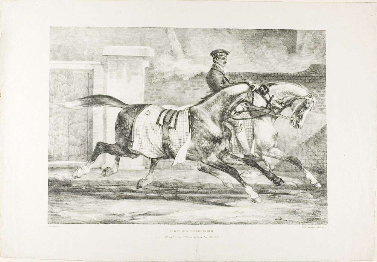 Hevoset harjoittelemassa, levy 6 eri aiheista, jotka on piirretty elämästä kivelle. tekijältä Jean Louis André Théodore Géricault