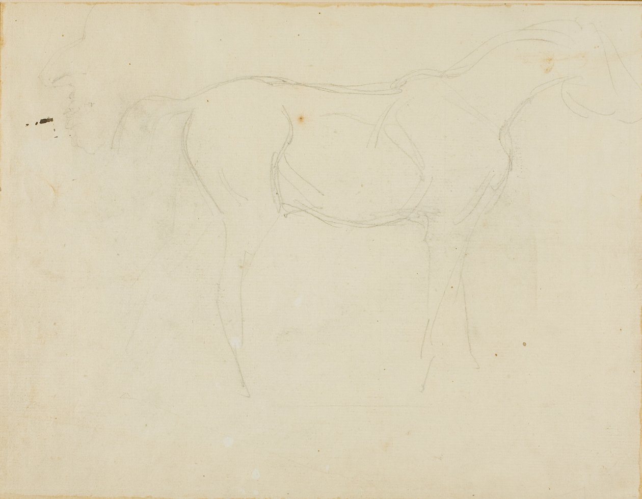 Hevosen luonnos oikealle päin ja karikatyyri profiilissa. tekijältä Jean Louis André Théodore Géricault
