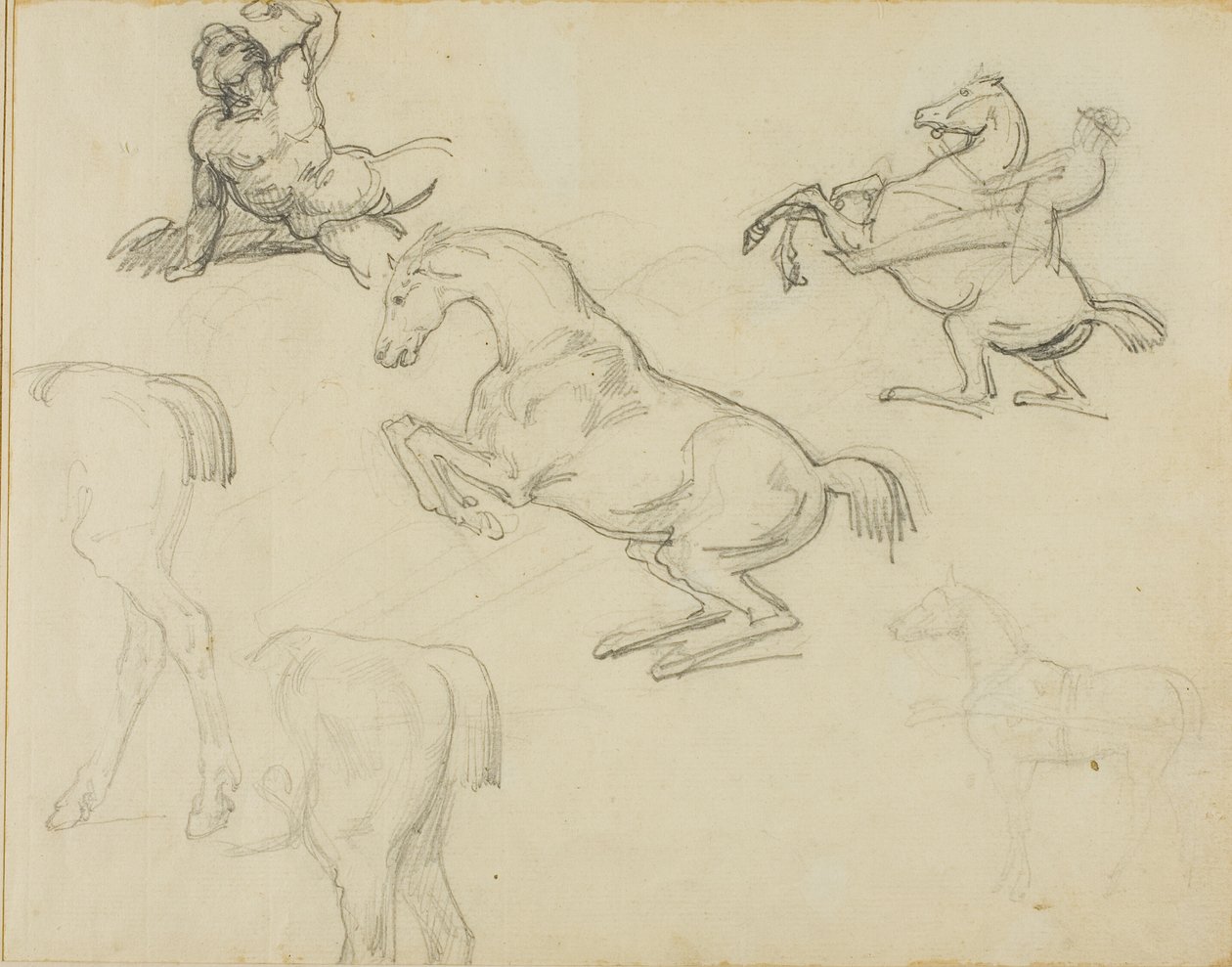 Luonnoksia: Hevosmies ja erilaisia hevosia. tekijältä Jean Louis André Théodore Géricault