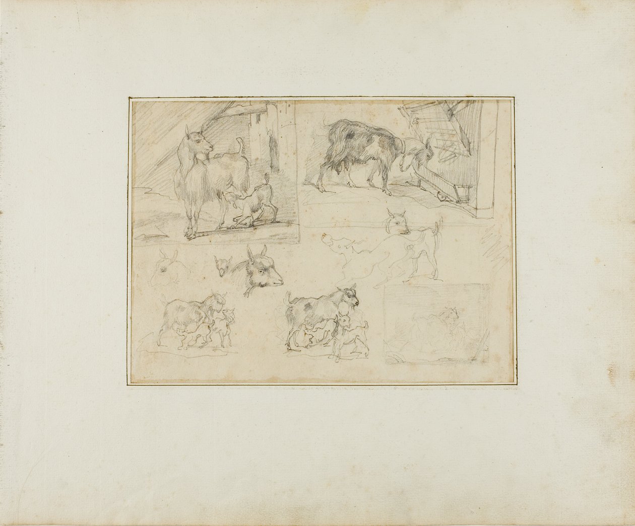 Luonnoksia vuohista tekijältä Jean Louis André Théodore Géricault