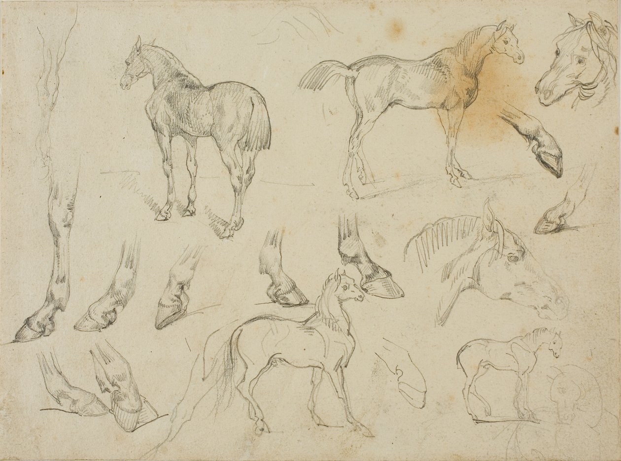 Hevosen luonnoksia tekijältä Jean Louis André Théodore Géricault