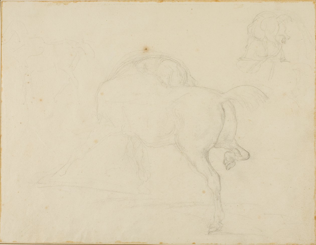 Tutkimus hevosesta, joka kääntää päätään ja nostaa takajalkaansa. tekijältä Jean Louis André Théodore Géricault