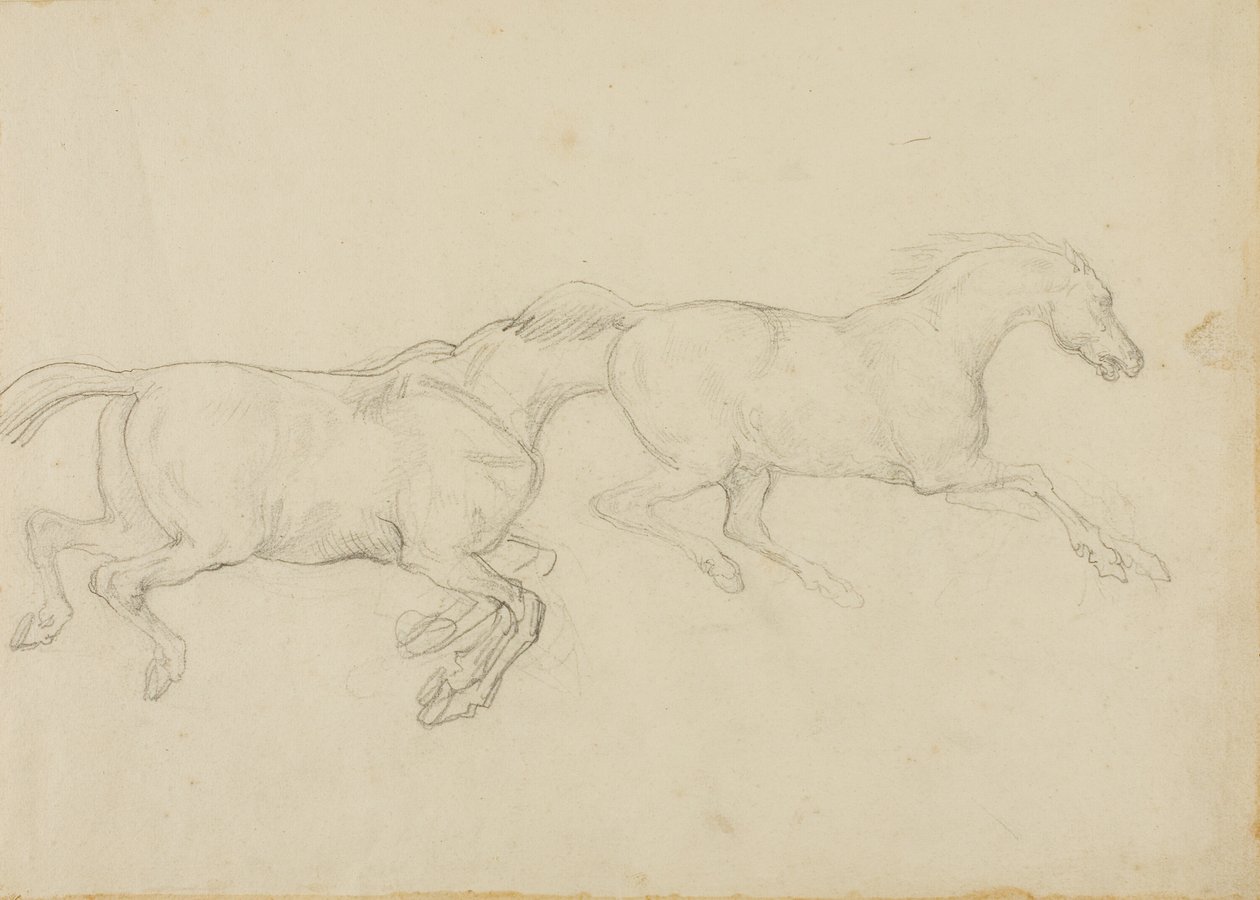 Kaksi hevosta ratsastaa oikealle tekijältä Jean Louis André Théodore Géricault