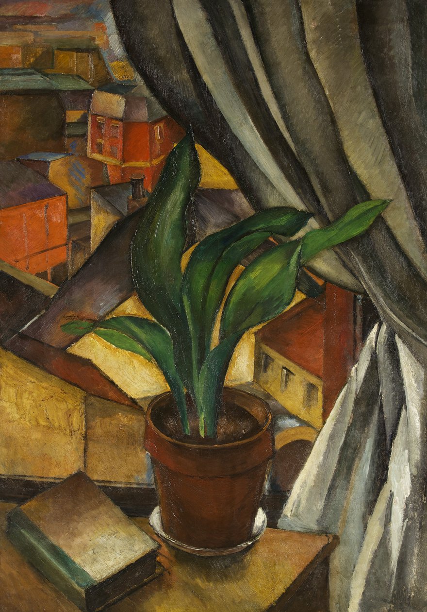 Aspidistra, n. 1912 (öljy kankaalle) tekijältä Jean Marchand