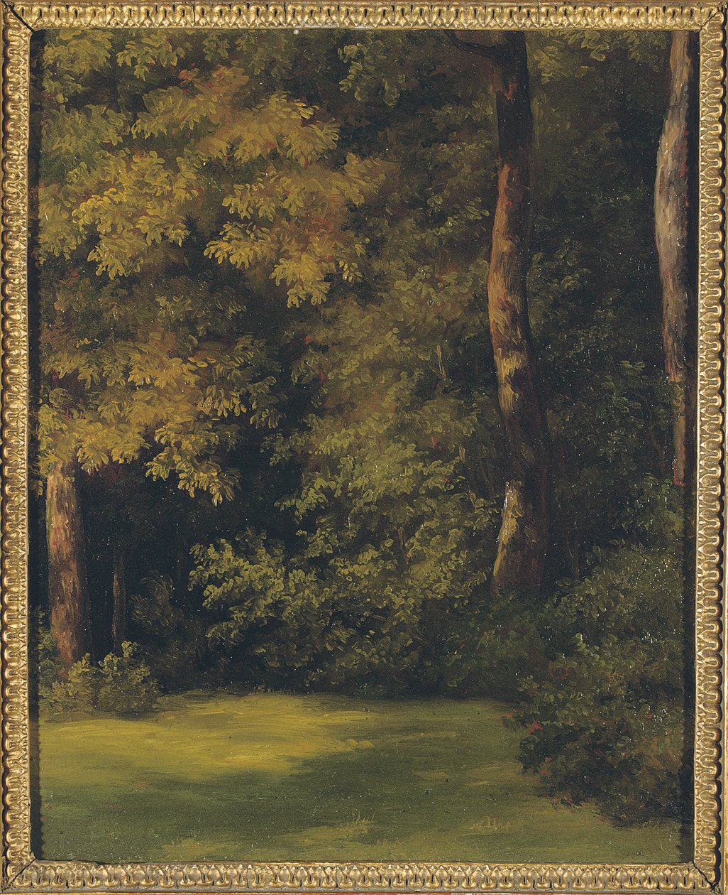 Metsäalue, 1840 tekijältä Jean Michel Cels