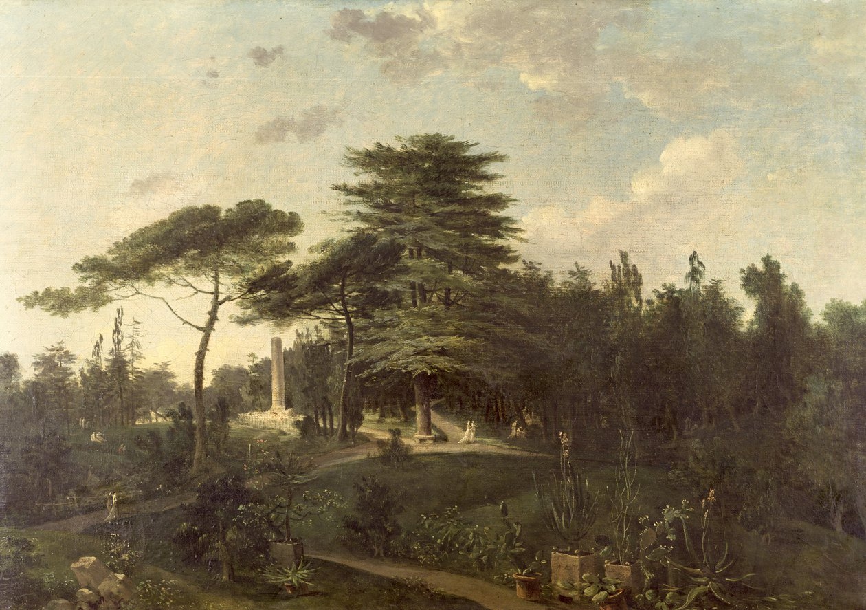 Libanonin setri Jardin des Plantesissa tekijältä Jean Pierre Houel